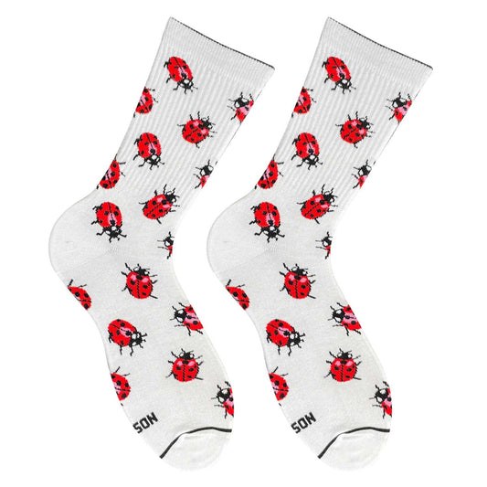 Ladybug