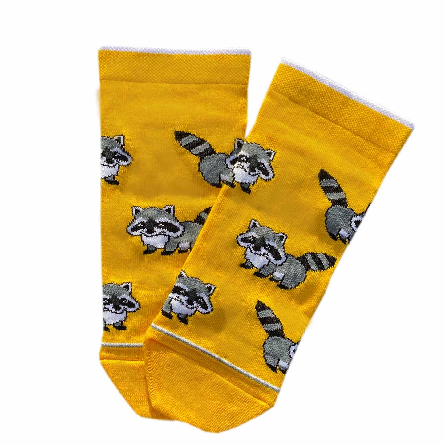 Raccoon Low