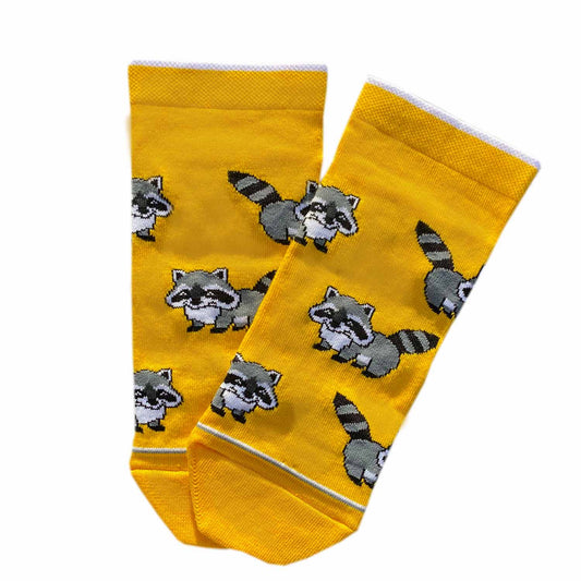 Raccoon Low